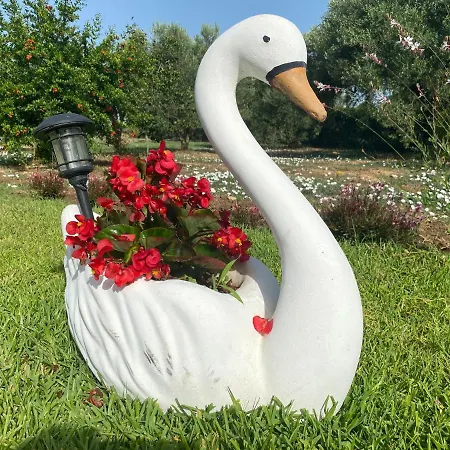 Caryatis Ntoridis & In Afytos