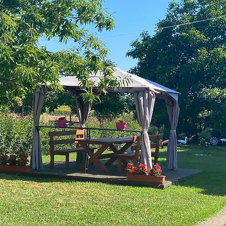 Caryatis Ntoridis & In