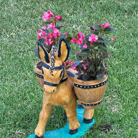 Апартаменты Caryatis Ntoridis & In