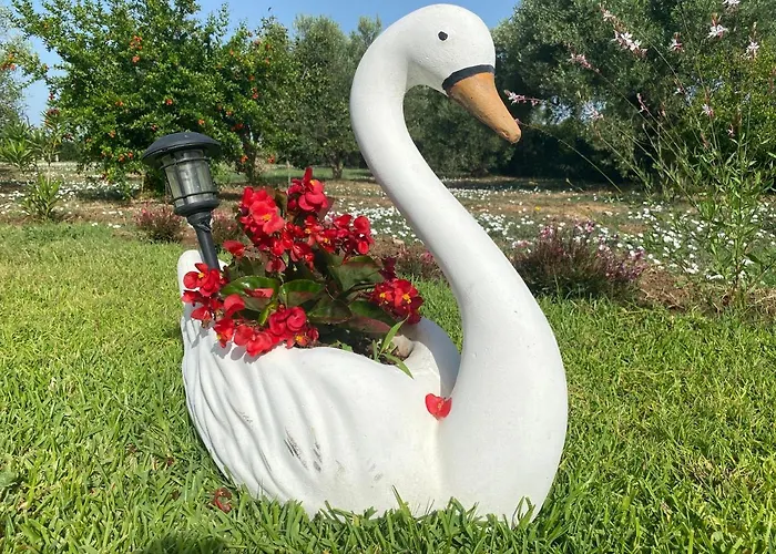 Caryatis Ntoridis & In Afytos